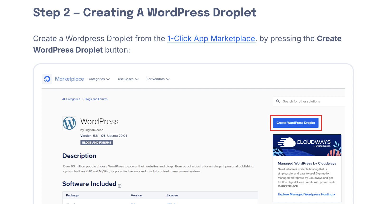 Wordpress Droplet Image